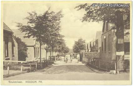 Koudum, Beukenlaan ansichtkaart: Koudum, Beukenlaan