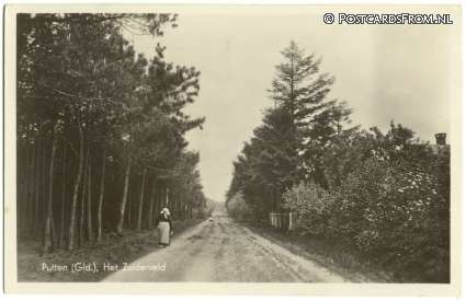 ansichtkaart: Putten, Het Zuiderveld