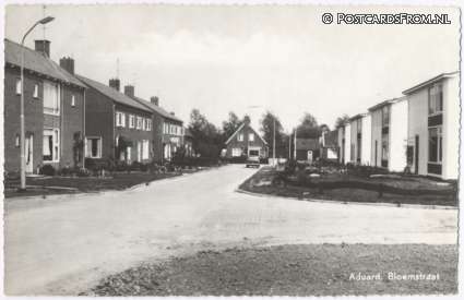 Aduard, Bloemstraat ansichtkaart: Aduard, Bloemstraat