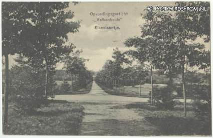 Maarsbergen, Opvoedingsgesticht 'Valkenheide'. Eikenlaantje ansichtkaart: Maarsbergen, Opvoedingsgesticht 'Valkenheide'. Eikenlaantje