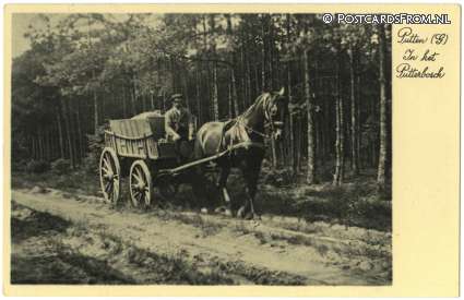 ansichtkaart: Putten, In het Putterbosch
