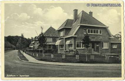 ansichtkaart: Zuidhorn, Iepenlaan