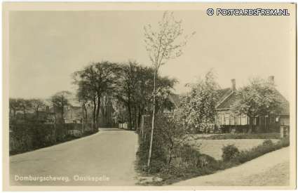 ansichtkaart: Oostkapelle, Domburgscheweg