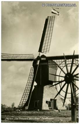 ansichtkaart: Tienhoven UT, Molen 'De Trouwe Wachter'