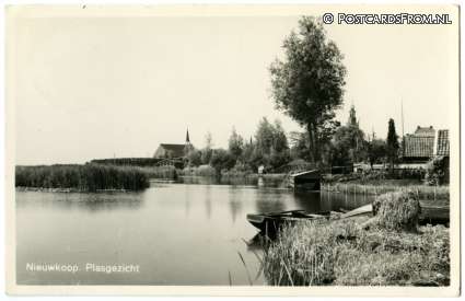 ansichtkaart: Nieuwkoop, Plasgezicht
