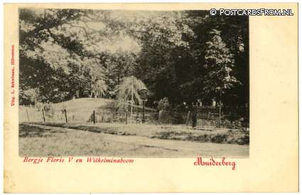 ansichtkaart: Muiderberg, Bergje Floris V en Wilhelminaboom