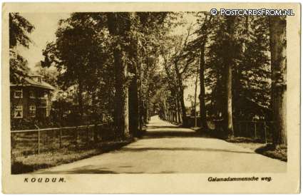 ansichtkaart: Koudum, Galamadammensche weg