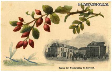 ansichtkaart: Neerbosch, Scholen der Weesinrichting. Randversiering. Randversiering