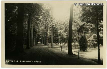 ansichtkaart: Oisterwijk, Laan Groot Speyk