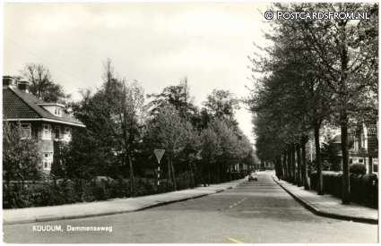 ansichtkaart: Koudum, Dammenseweg