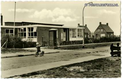 ansichtkaart: Oostwold Scheemda, Hervormde School