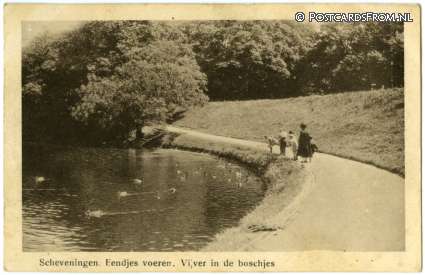ansichtkaart: Scheveningen, Eendjes voeren. Vijver in de boschjes