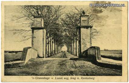 ansichtkaart: 's-Gravenhage, Loosd. weg, brug n. Rustenburt