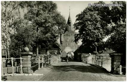 Elburg, Gezicht op de Vispoort ansichtkaart: Elburg, Gezicht op de Vispoort