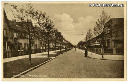 ansichtkaart: Voorburg, Roozeboomlaan