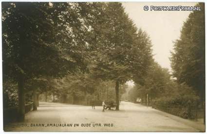 ansichtkaart: Baarn, Amalialaan en Oude Utr. Weg