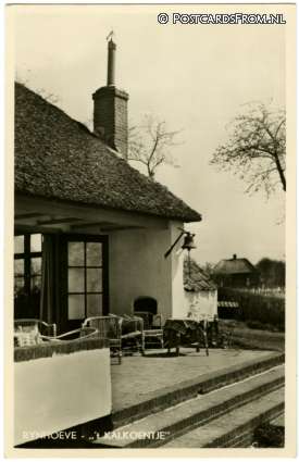 ansichtkaart: Rhenen, Rynhoeve - 't Kalkoentje