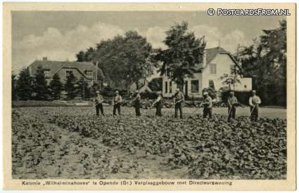 Opende, Kolonie 'Wilhelminahoeve'. Verpleeggebouw met Directeurswoning ansichtkaart: Opende, Kolonie 'Wilhelminahoeve'. Verpleeggebouw met Directeurswoning