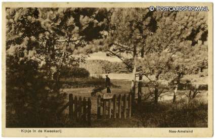 ansichtkaart: Nes Ameland, Kijkje in de Kweekerij