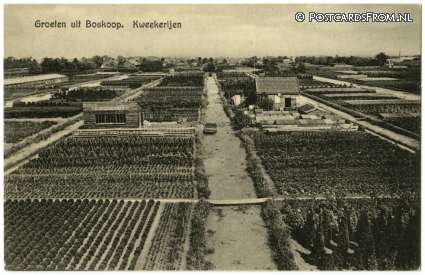 Boskoop, Groeten uit. Kweekerijen. A. Spaargaren ansichtkaart: Boskoop, Groeten uit. Kweekerijen. A. Spaargaren