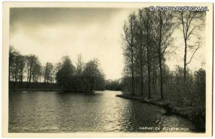 ansichtkaart: Harmelen, Vijverbosch