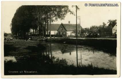ansichtkaart: Nieuwland, Groeten uit