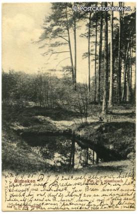 ansichtkaart: Ginneken, Put in 't Mastbosch