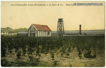 ansichtkaart: Maartensdijk, Amerikaansche Anjer-Kweekerij v.d. Geer en Co.