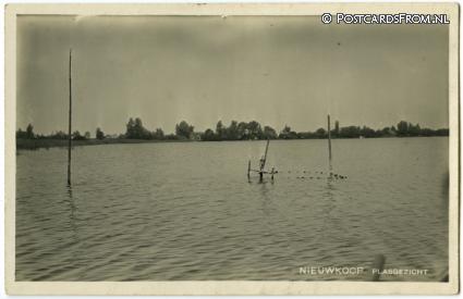 ansichtkaart: Nieuwkoop, Plasgezicht