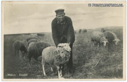 Elspeet, Willem ansichtkaart: Elspeet, Willem