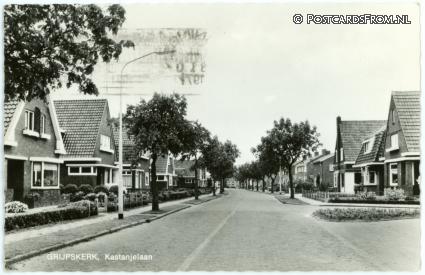 ansichtkaart: Grijpskerk, Kastanjelaan