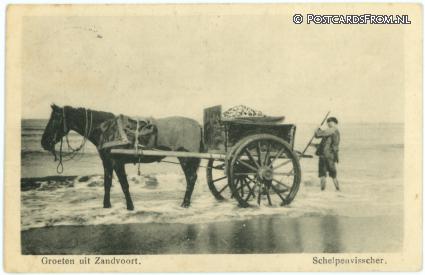 ansichtkaart: Zandvoort, Schelpenvisscher