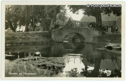 ansichtkaart: Nieuwland, Groeten uit