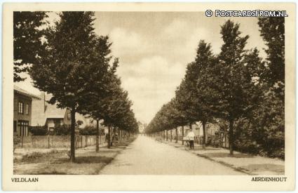 ansichtkaart: Aerdenhout, Veldlaan