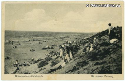 ansichtkaart: Bloemendaal, Zandvoort. De nieuwe Zeeweg