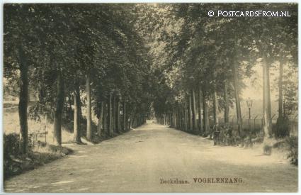 Vogelenzang, Beckslaan ansichtkaart: Vogelenzang, Beckslaan