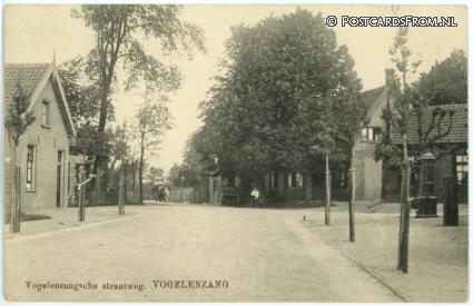 ansichtkaart: Vogelenzang, Vogelzangsche straatweg