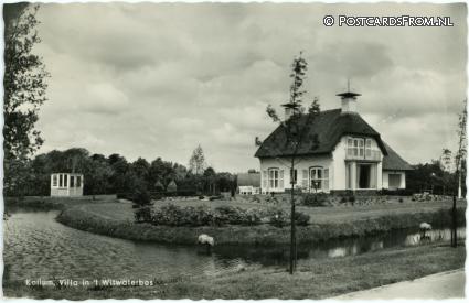 ansichtkaart: Kollum, Villa in 't Witwaterbos