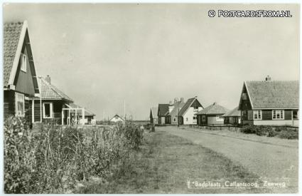 ansichtkaart: Callantsoog, Badplaats. Zeeweg