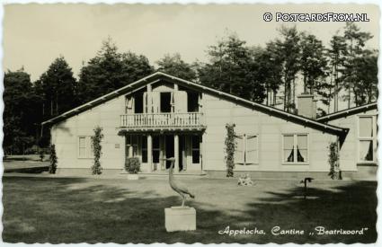 ansichtkaart: Appelscha, Cantine 'Beatrixoord'