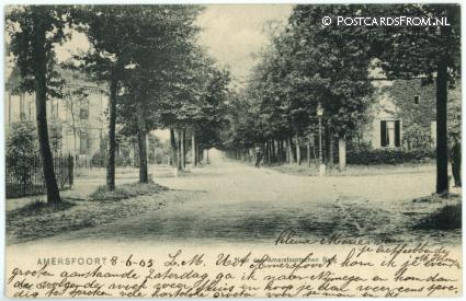 ansichtkaart: Amersfoort, Naar den Amersfoortsche Berg