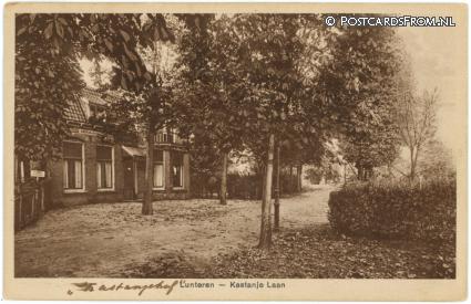 Lunteren, Kastanjelaan ansichtkaart: Lunteren, Kastanjelaan