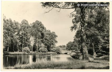 ansichtkaart: Hoenderloo, Het Nationale Park de Hoge Veluwe. Steenen Brug