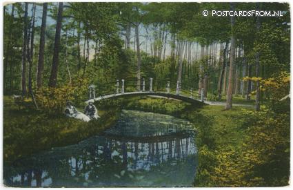 ansichtkaart: Driebergen-Rijsenburg, Bruggetje in 't bosch