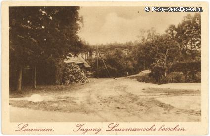 ansichtkaart: Ermelo Leuvenum, Ingang Leuvenumsche bosschen