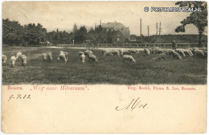 ansichtkaart: Bussum, Weg naar Hilversum