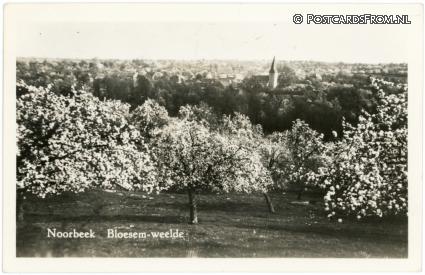 Noorbeek, Bloesem-weelde ansichtkaart: Noorbeek, Bloesem-weelde