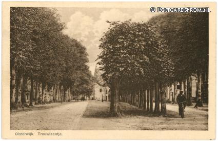 ansichtkaart: Oisterwijk, Trouwlaantje