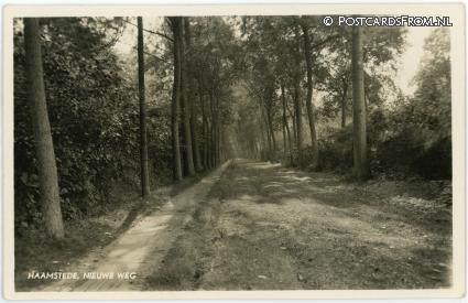 Burgh-Haamstede, Haamstede, Nieuwe weg ansichtkaart: Burgh-Haamstede, Haamstede, Nieuwe weg