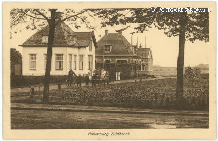 Zuidbroek, Nieuweweg ansichtkaart: Zuidbroek, Nieuweweg